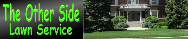 The Other Side Lawn Service